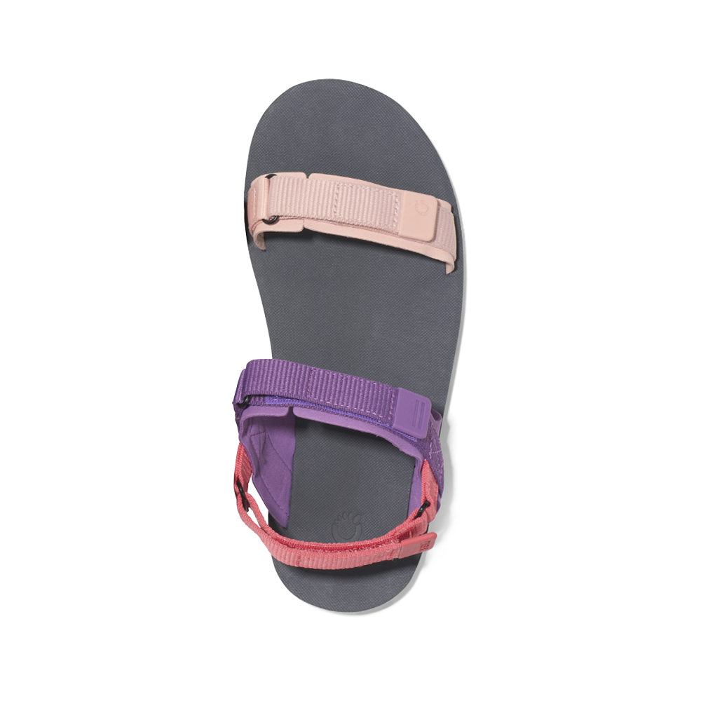 Xero D-Trail Womens Dewberry Multi