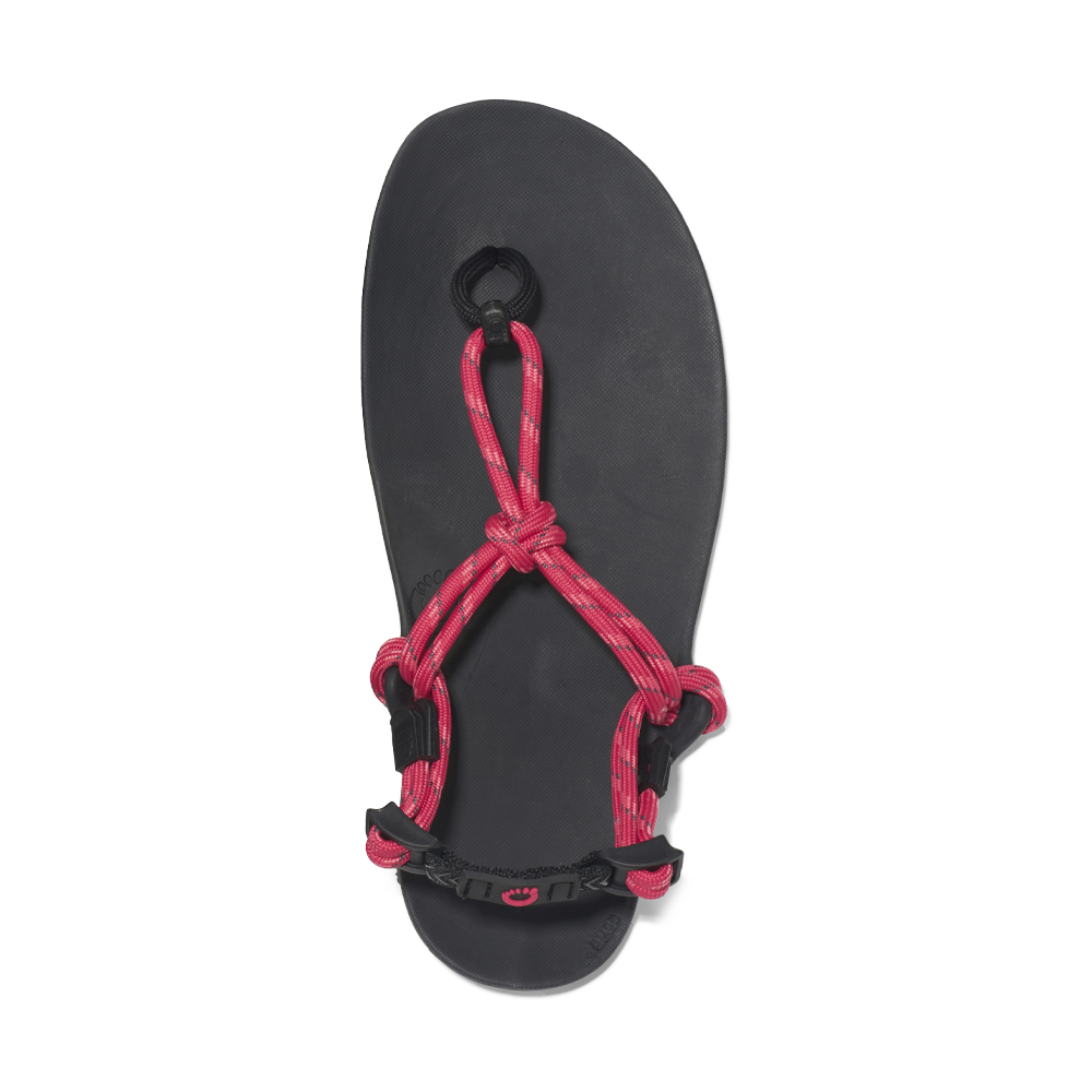 Xero Genesis Womens Raspberry