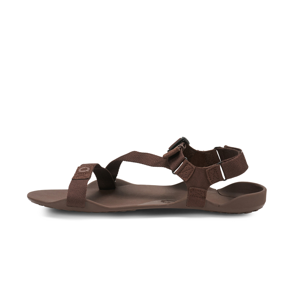 Xero  Z-Trek Brown Men