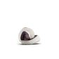 Vivobarefoot Primus Sport IV Toddlers Huckleberry