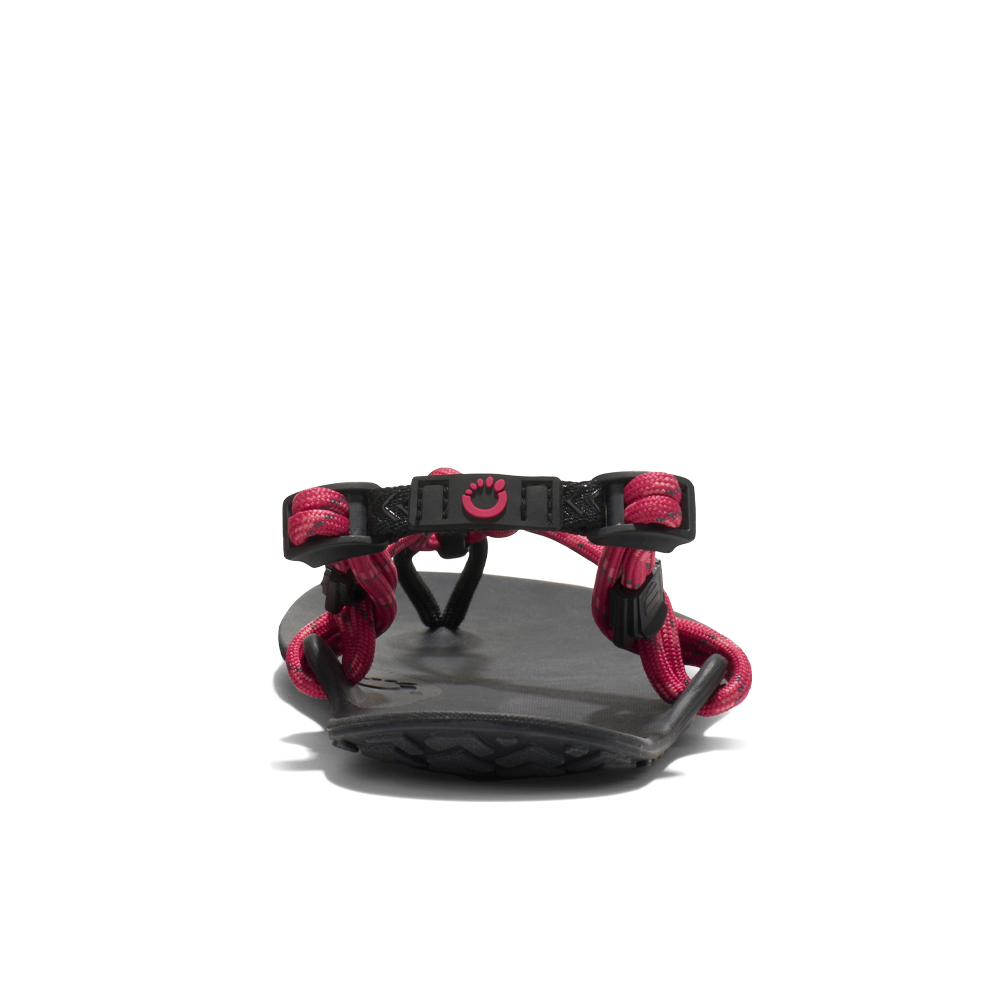 Xero Genesis Womens Raspberry